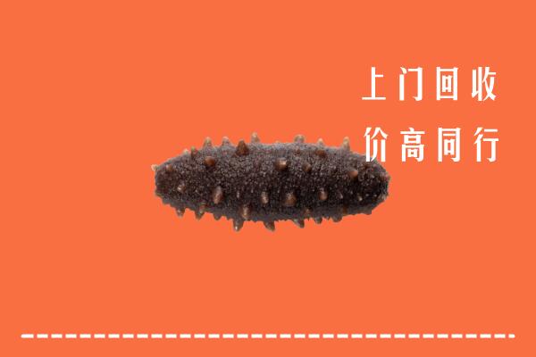 高价求购：三门峡湖滨区回收海参