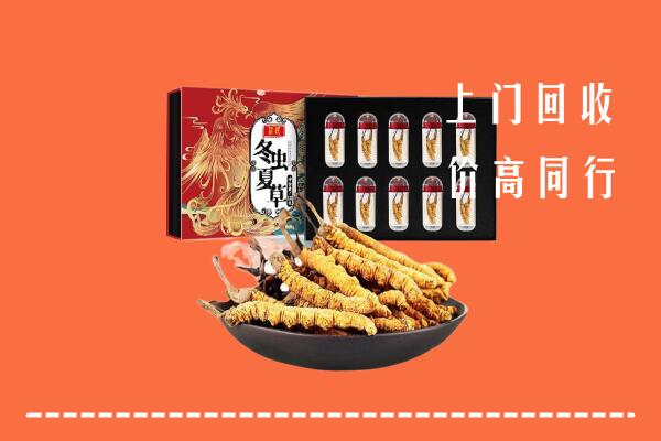 三门峡湖滨区回收虫草